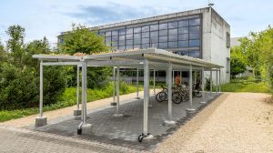 Dachbegruenung Flora