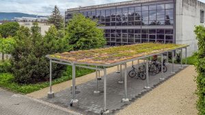 Dachbegruenung Flora