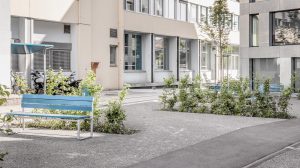 Elemente Zürich Binz