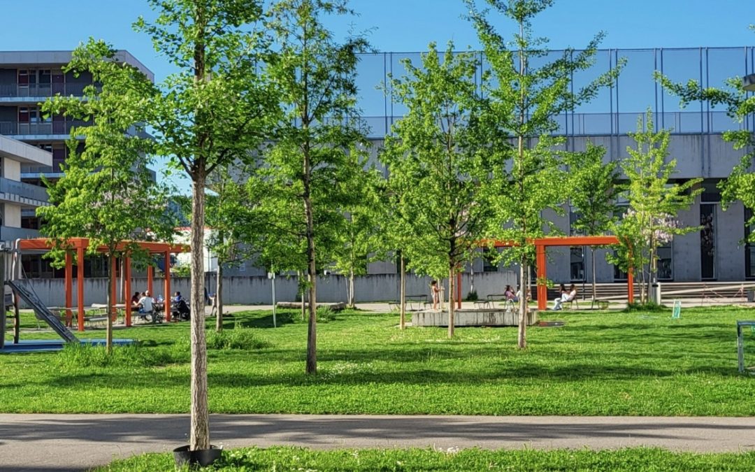 Du mobilier urbain qui crée du lien: qualité de vie dans les quartiers